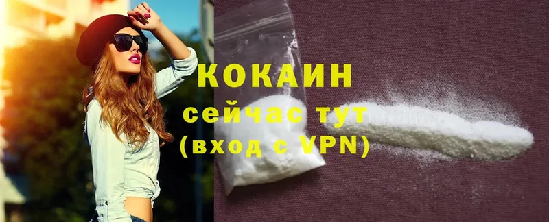 где купить наркоту  Вышний Волочёк  Cocaine Колумбийский 